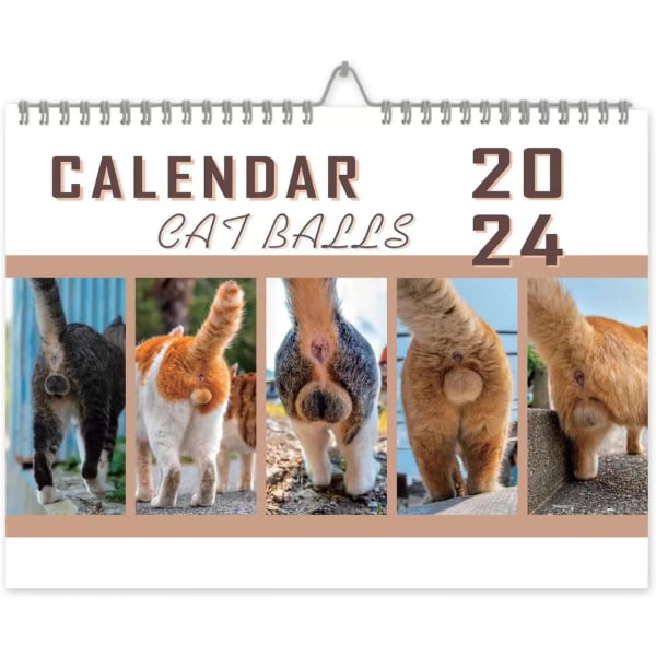 Kattkalender 2024 | Katthålskalender för skämtpresent | Hängande väggkonst månatlig familjekalender | Roliga och roliga presenter för vuxna-B
