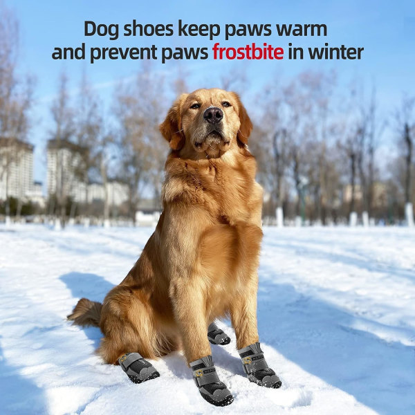 Hundstövlar för trägolv, hundkängor för utomhusbruk för varm trottoar Vintersnövandring, andningsbara hundskor med reflekterande remsor storlek 7 svart