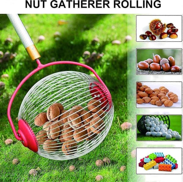 Nut Picker - Side Opening for Emptying Walnuts, Rolling Cone Picker, Picker, Collector, Ball Picker for Walnuts, Pecans