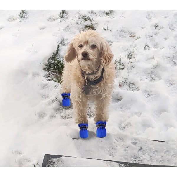 Halkskydd för hundstövlar och tassskydd för snöiga dagar, varma trottoarskor för hund med reflekterande remmar, hundsko för hårda golv inomhus (blå, 6)