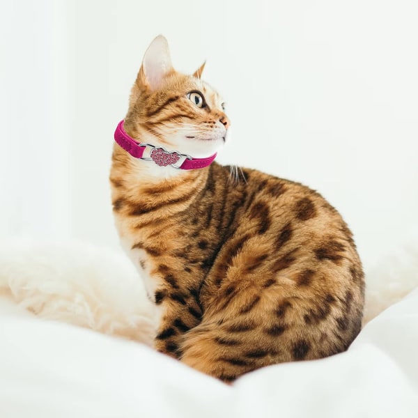 Hjärtformat katthalsband med klocka, justerbart halsband med rhinestone säkerhetsbälte för liten katt och hund (rosaröd)