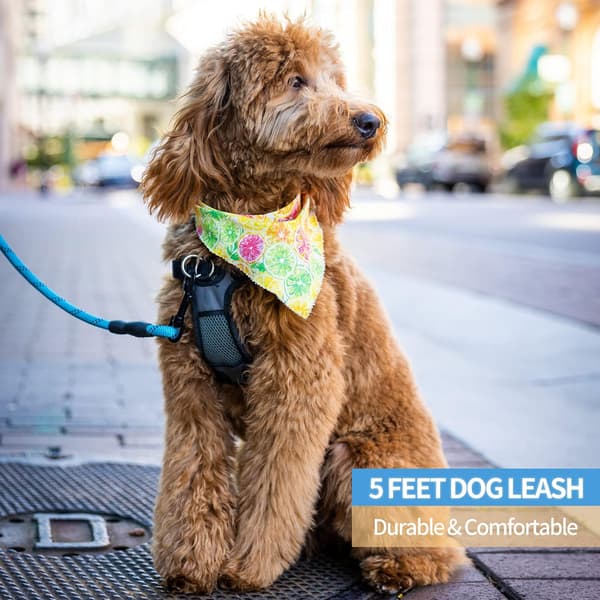 2/4/5/6 FT Dog Leash with Comfortable Padded Handle and Strong Reflective Threads for Small, Medium, and Large Dogs (5FT-1/3', Blue) Blue