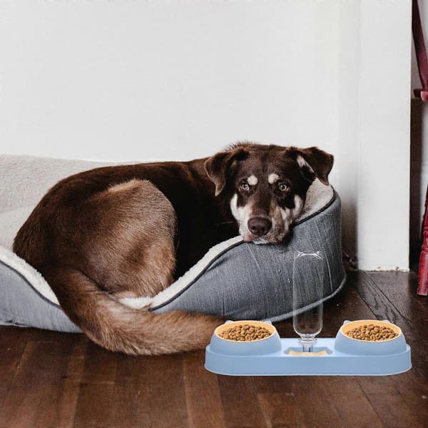 Automatisk foderautomat med dobbelt skål til kat og hund