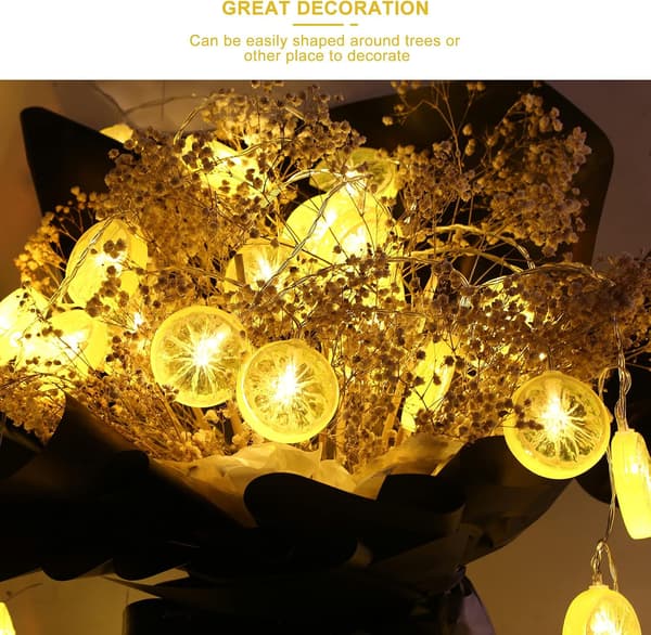 Fruit String Lights Orange Lemon Chips Outdoor String Lights Battery Operated