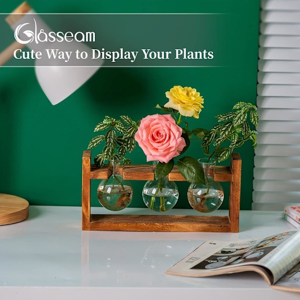 Glasvas i form av ett ekollon, glasbehållare blomkruka med träställ för placering av gröna vattenväxter, lämplig för dekoration av matbord och skrivbord i hemmet