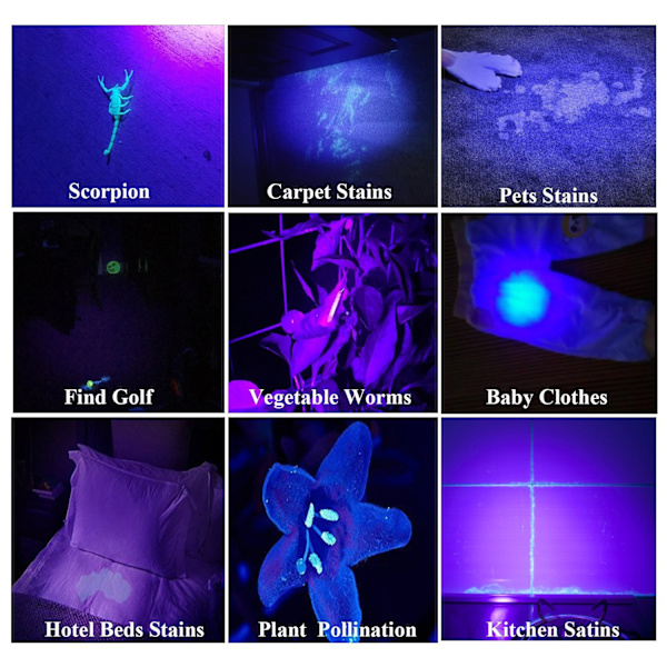 UV-taskulamppu, 100 LED:tä, musta valo taskulamppu 395nm UV-lamppu, havaitseminen