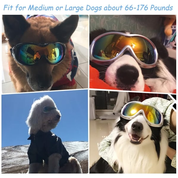 Hundsolglasögon Glasögon för hundar Hundskidglasögon med UV-skydd Husdjurssolglasögon med justerbar rem-Vit