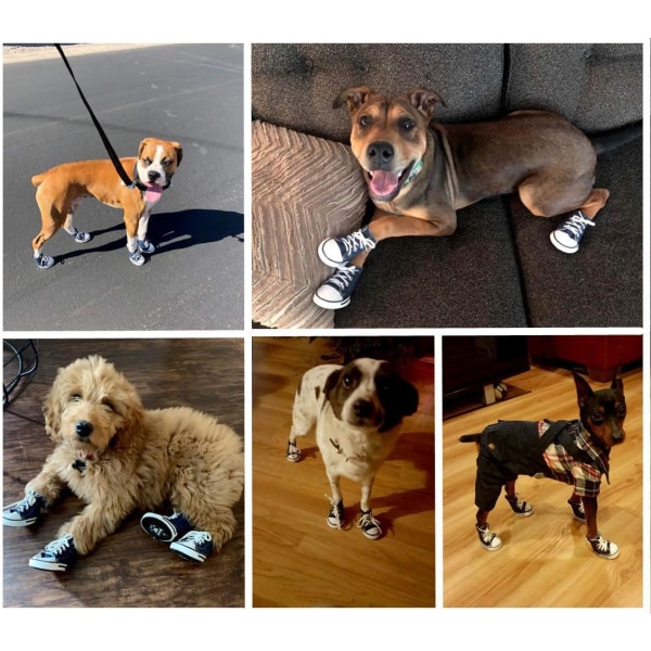 4 st Pet Dog Puppy Canvas Sportskor, Sneakerboots, Utomhus halkfria kausala skor (4#, blå)