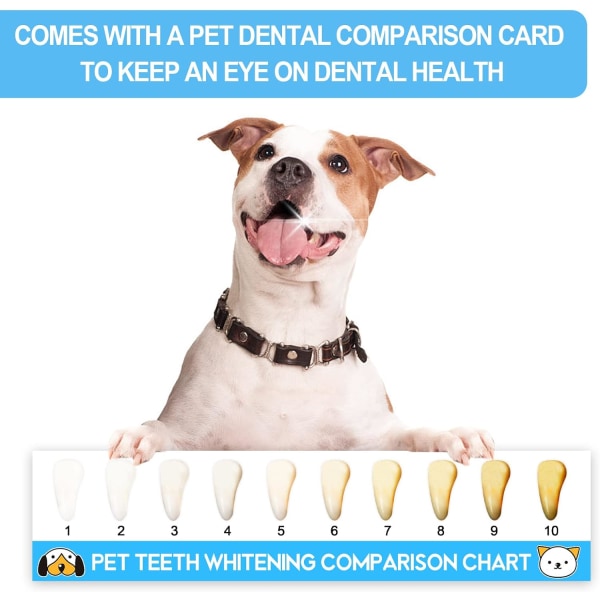 Cat Dog tandborstsats, lämplig för alla katter och hundar tandvård. Vita, mjuka borst, tillgodose alla rengöringsbehov, multifunktionell tandrengöring