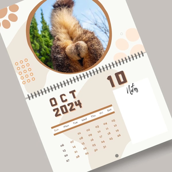 Kattekalender 2024 | Kattehullkalender for spøkefull gave | Hengende veggkunst månedlig familiekalender | Morsomme og morsomme gaver for voksne-A