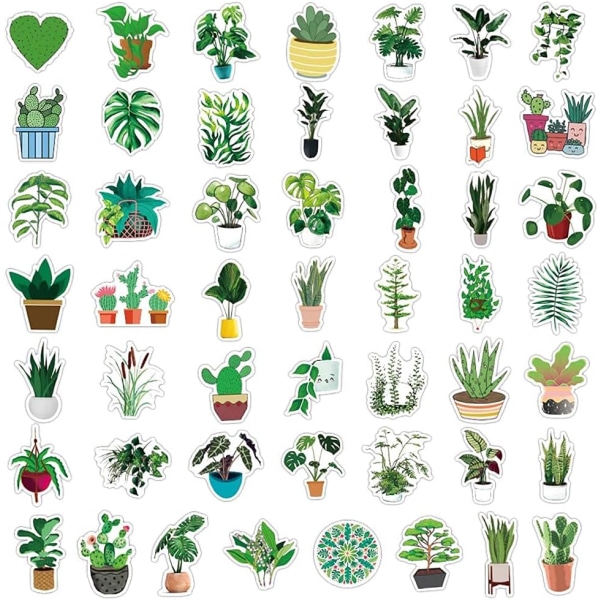 100 st Levande naturliga gröna växtklistermärken Salviakaktus Ormbunke Blommor Estetiska dekaler för Hydroflask, Vattenflaskor, Journal, Scrapbook Bärbara datorer
