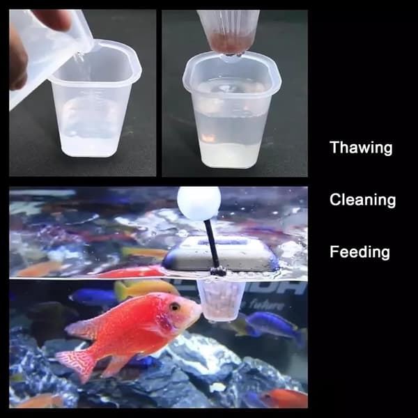 3-i-1 Akvarium Flydende Ring, Fiskefoderdispenser, Vandtilbehør til Guppy og Cichlider.