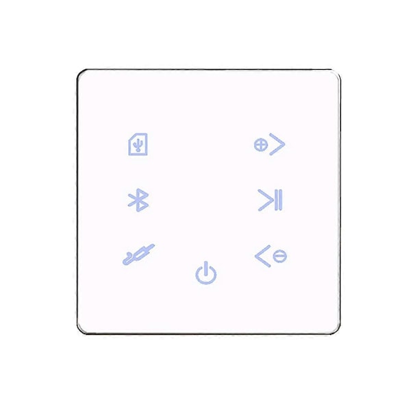 Bluetooth Förstärkare Inbyggd Vägg USB SD Kort Musikpanel Smart Hem Bakgrund Stereo Högtalare Hotell Restaurang.
