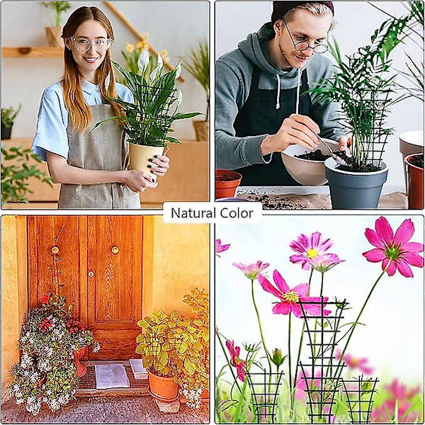 5 st Mini-växtstöd i plast för klätterväxter, blomkrukor, trädgårdsväxter, grönsaker inomhus och utomhus (mörkgrön)