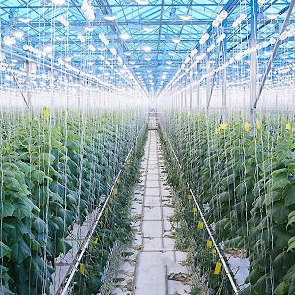 Plante Rulle Krog - Heavy Duty Holdbar Have Tomat Krog til Tomat, Grøntsager, Drivhus, Blomst Vinstok Vinstok Type Trellis Kit Plante Rulle Krog 1stk
