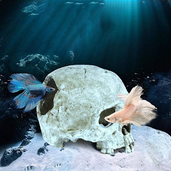 Akvarium Skalle Dekoration - Harpiks Fiskekum Dekorationer Hule Betta Fisk Skjulested Reptilhus Til Små Fisk Og Rejer