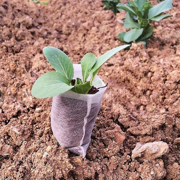500 stk. planteposer i non-woven stof, bionedbrydelige planteposer i non-woven stof til planter, frøplanter, dyrkningsposer til tomater, blomster - Hvid - 8×10cm