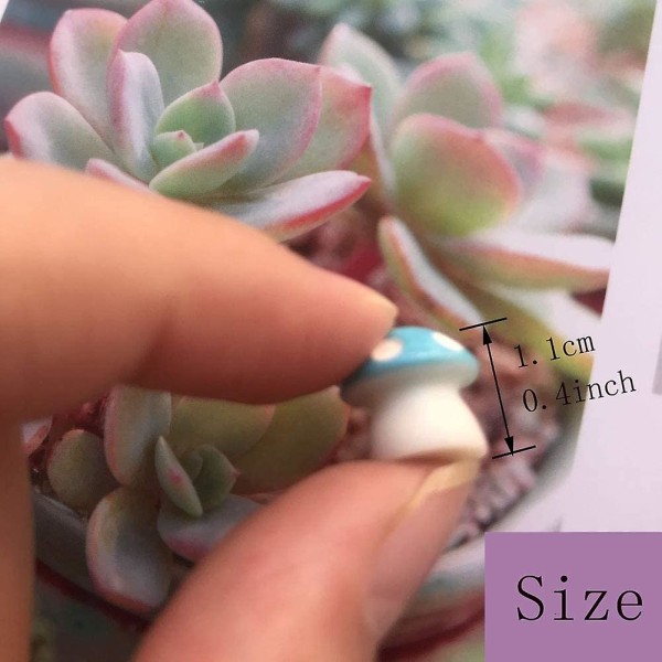 Miniature Fairy Garden Ornaments Kit, Mini svampe, ren hvid svane i blå dam, Fairy Garden Animal