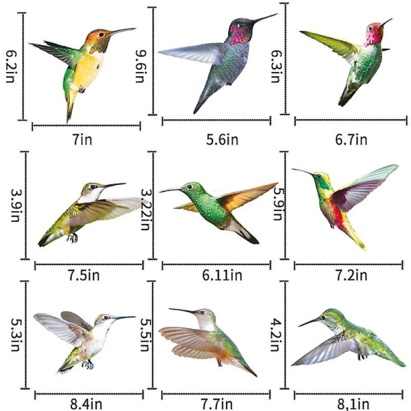 Lintu-ikkunatarrat suojaamaan lintujen törmäyksiltä – 18 kaunista kolibrilasitarraa, kaksipuoliset ja itseliimautuvat suojaamaan lintuja vastaan