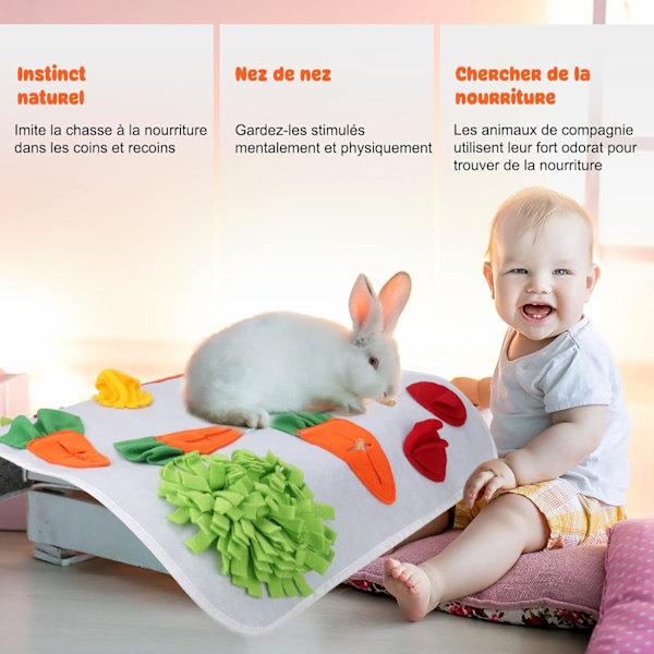 Kanin Snuffelmatta Tvättbar Marsvin Pedagogisk Matta Dvärgkanin Mjuk Lekmatta Snuffle Leksak