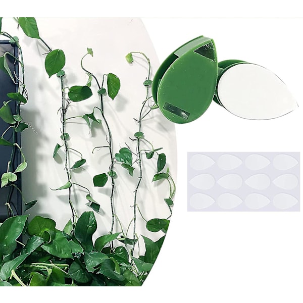 40 stk. grønne planteclips til orkideer, planteclips, støtteclips, vinclips, planteclips til blomsterorkidé, vinunderstøttelse.