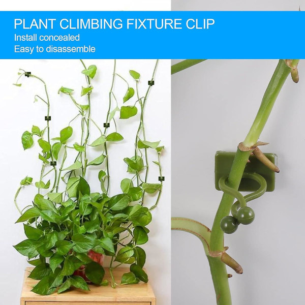 10st Klätterväxtstödklämma, självhäftande växtklämmor, Green Vine Väggmonteringsklämma, Väggfixare, Plant Support Krokklämma, Stake Clip, Plant Wall