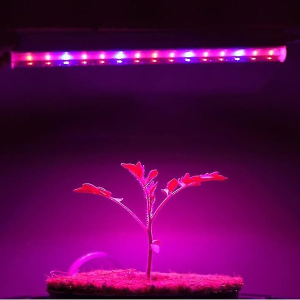 T5 LED växtlampa växttillväxtremsa suckulent grönsak blomma växtlampa
