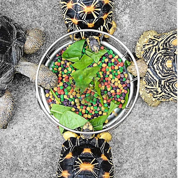 Skål för sköldpaddsmat i rostfritt stål, matbehållare, utfodringsverktyg, multifunktionell reptiltillbehör, sköldpaddsvattenfat (M)