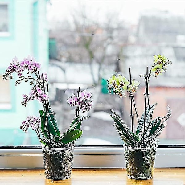10 stk gjennomsiktige blomsterpotter i plast, små plastpotter for orkideer, potte for orkideer, hage, balkong osv.