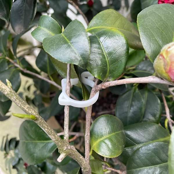 10-pack kattformade rottingklättringsväxtklämmor återanvändbara plaststöd växthus grönsak blomma trädgårdsartiklar