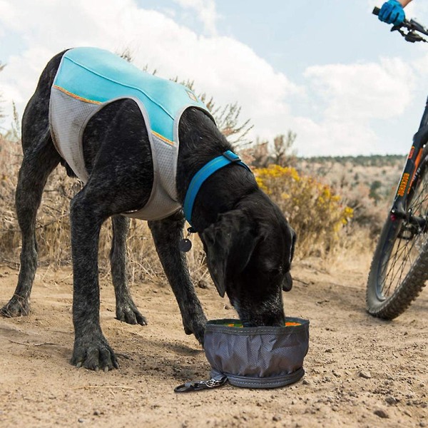 Hundeskål Rejseskåle Sammenfoldelig til hundekæledyr, Lækagesikker bærbar på farten