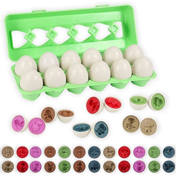 Matchande ägg set med 12, påsk Dinosaur ägg leksaker för barn, färg Acsergery presenter