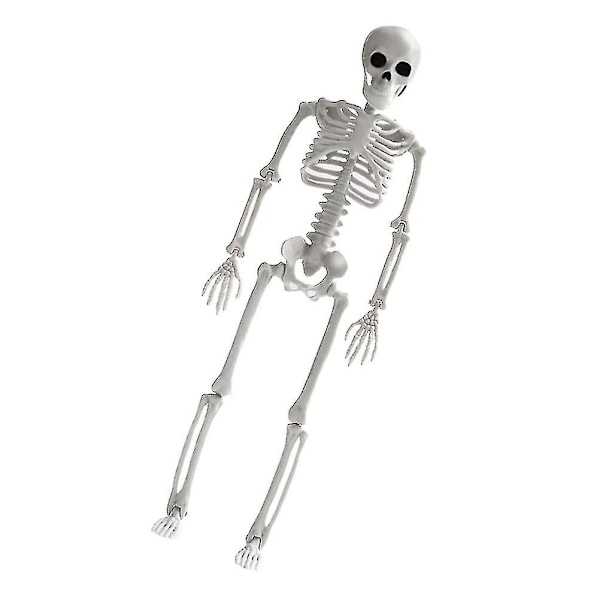 1 stk Simulert Skjelettmodell Morsomt Skjelett Håndverk Halloween Layout Dekor Hvit