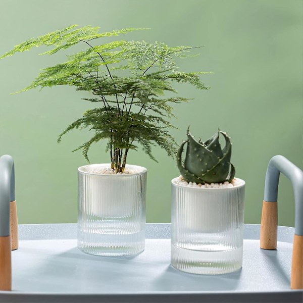 Klar Vattenabsorberande Planteringskruka Snygg Vattenbesparande Skrivbordsplanterare För Balkong Vardagsrum Sovrum (10CM)