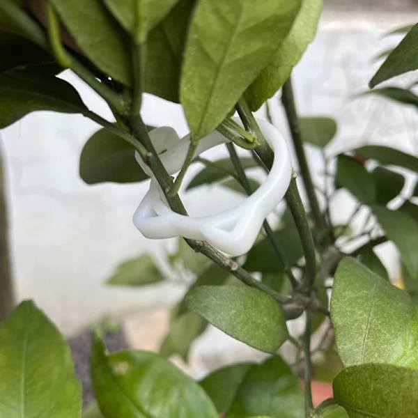10-pack kattformade rottingklättringsväxtklämmor återanvändbara plaststöd växthus grönsak blomma trädgårdsartiklar