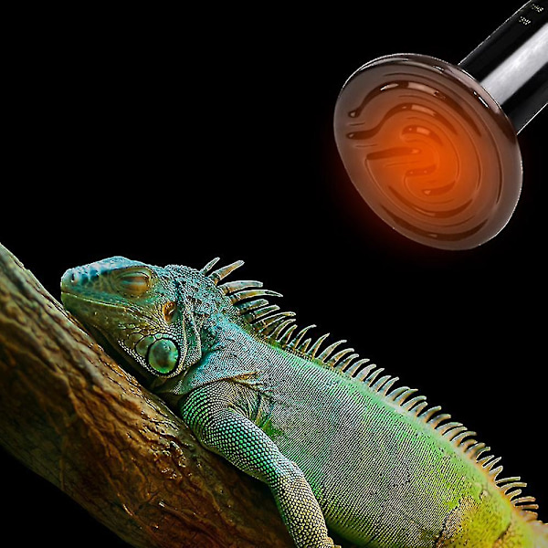 Keramisk Varmelampe Pære Infrarød Reptil Varmeemitter Varmelamper