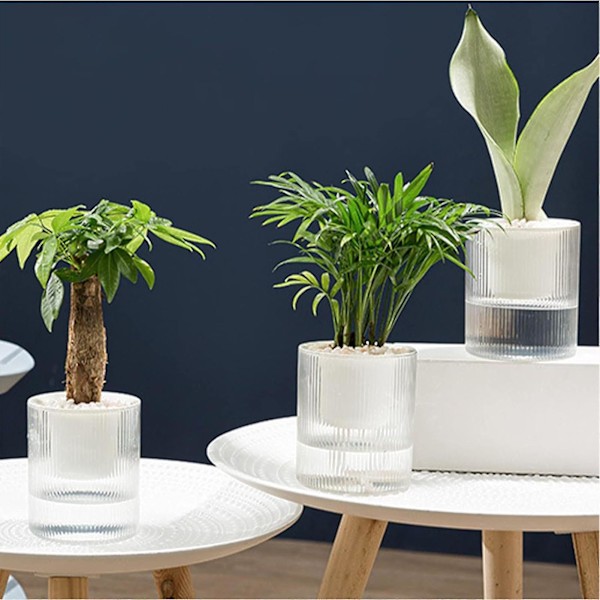 Klar Vattenabsorberande Planteringskruka Snygg Vattenbesparande Skrivbordsplanterare För Balkong Vardagsrum Sovrum (10CM)