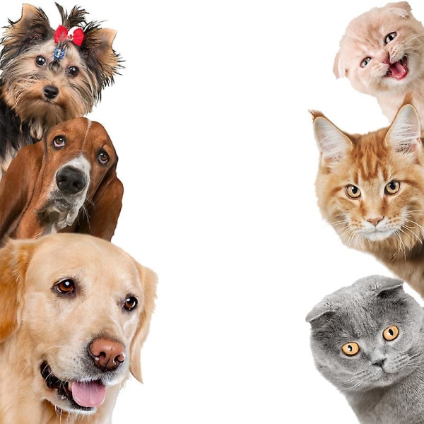 Hundar och katter Väggdekor Barnrumsdekoration PVC