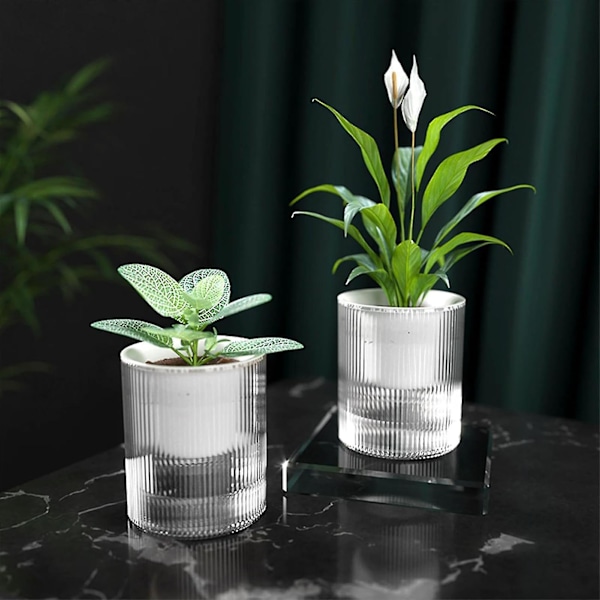 Klar Vattenabsorberande Planteringskruka Snygg Vattenbesparande Skrivbordsplanterare För Balkong Vardagsrum Sovrum (10CM)