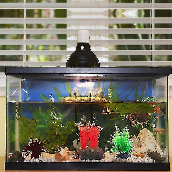 3 stk Akvariumgress