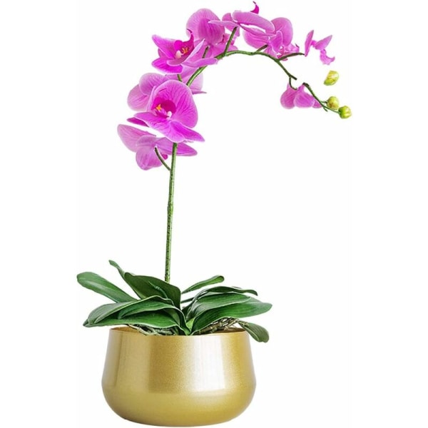 Blomstervas i metall - Dekorativ plantering i vardagsrummet för vägg/TV-skåp, bords blomsterarrangemang (guld, M 18x10,5 cm)