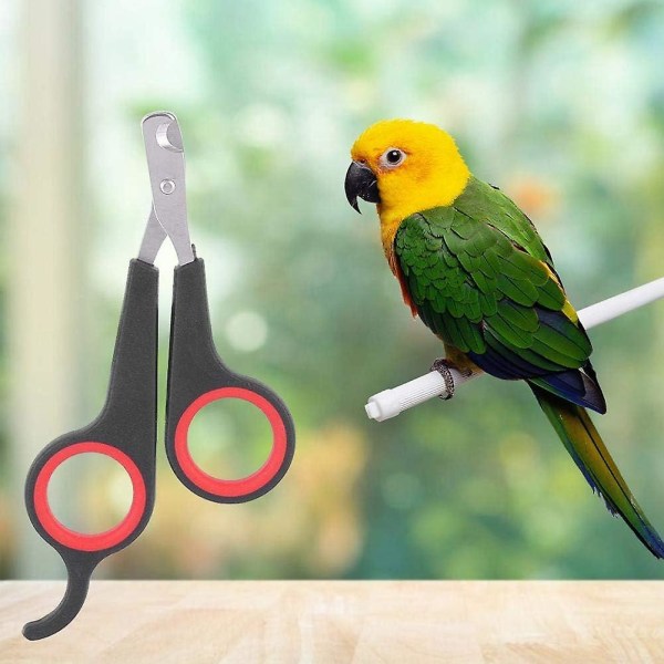 Nagelklippare för sällskapsdjur för smådjur, nagelklippare och klotrimmer Trimverktyg för fåglar Papegojor Kattungar Kanin