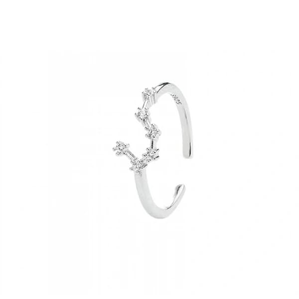/EA/Horoskopring 925 Sterling Sølv Statement Ring for Kvinner