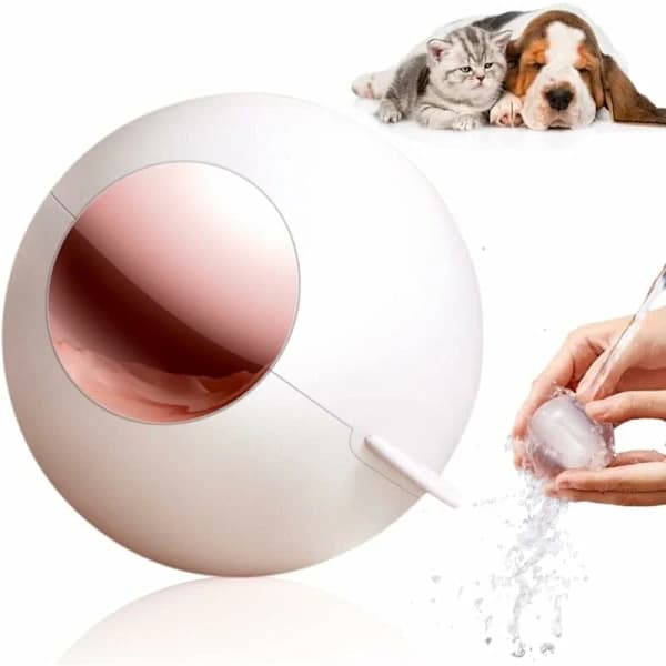 /EA/Vit anti-hårbørste til kæledyr, børste til kæledyrshår, kat og hund, kat