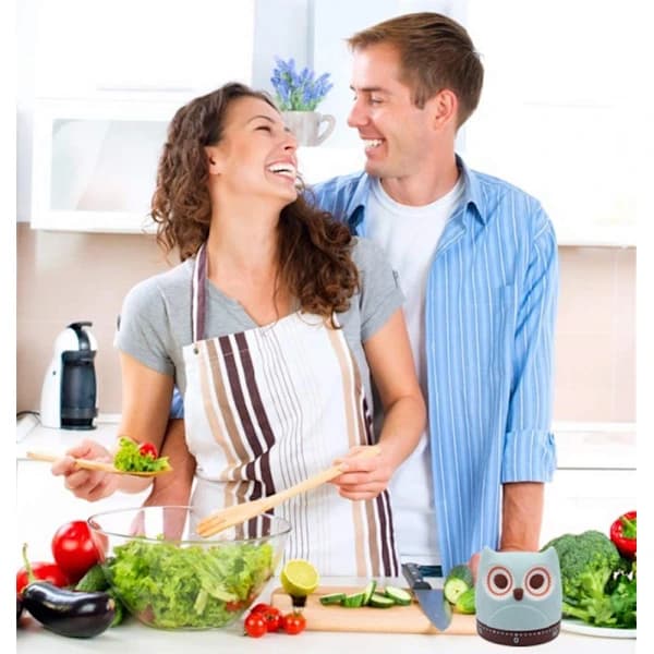 /EA/Rotasjonstimer Kokketimer Nedtellingstimer mekanisk påminnelse Timer Barn (Ugle stil)-