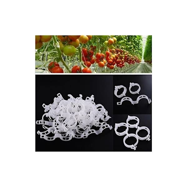 /EA/100 st Trädgårdsväxtklämmor, Växtstöd Klämmor Rottingklämmor Flowe