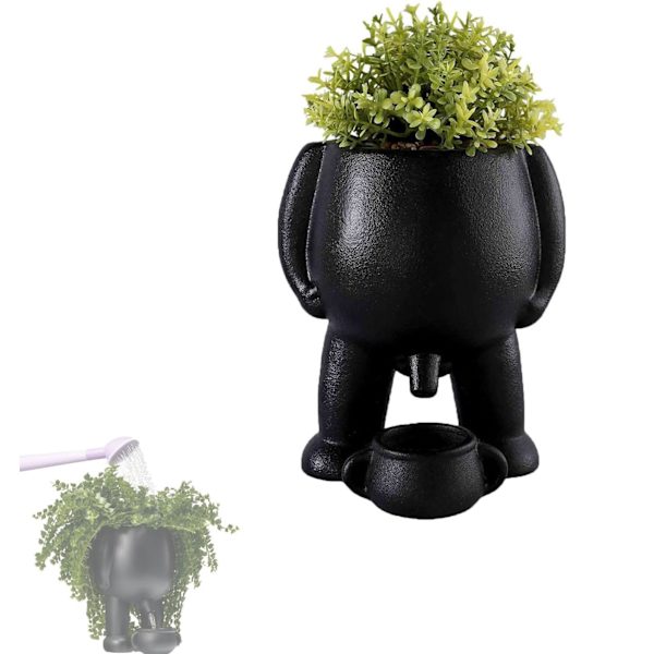 Rolig Keramisk Blomkruka, Kissande Planteringskruka, Pisskruka, Suckulentkruka Svart Vit Keramisk Dekor för Inomhusväxter Present White