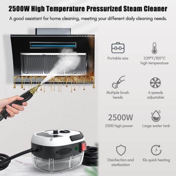 2500W handhållen bildetaljrengöringsmaskin High Temp Steam Cleaner Hushåll Europeisk kontakt