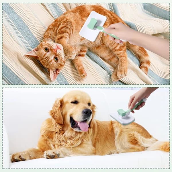/EA/Selvrensende depileringsbørste til hunde og katte