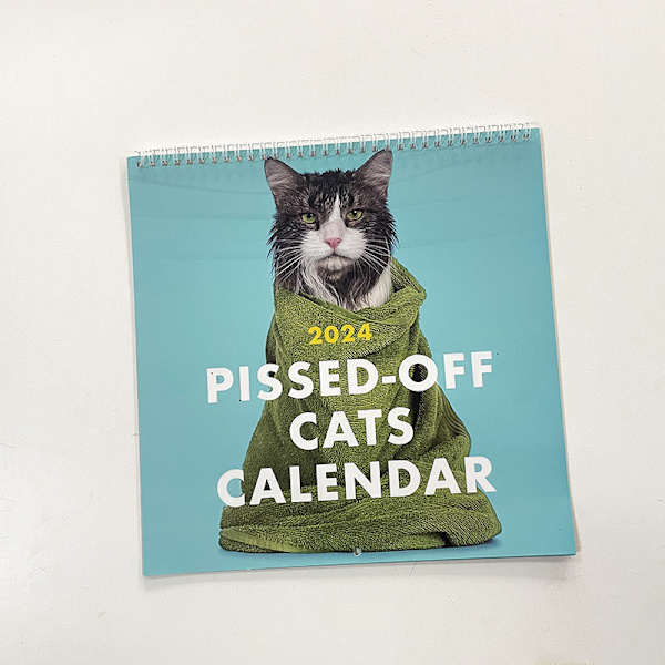 Angry Cat Calendar 2024, Funny Cat Wall Calendar Familj Månadsplanerare